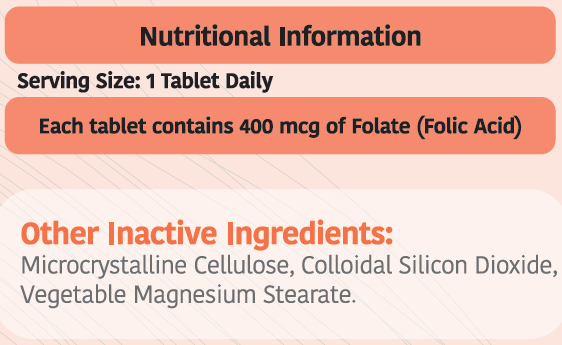 Folic Acid 400mcg